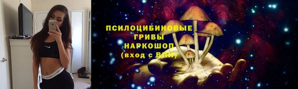 ПСИЛОЦИБИНОВЫЕ ГРИБЫ Аркадак