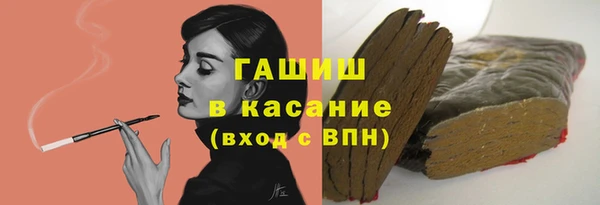 индика Арсеньев