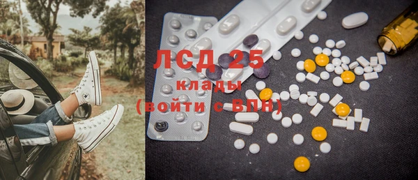 индика Арсеньев