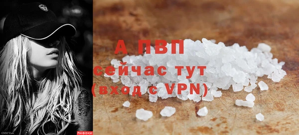 индика Арсеньев