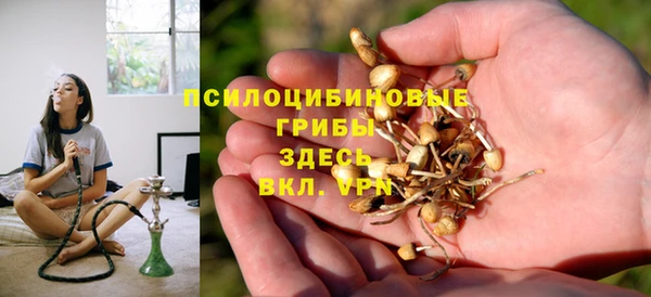 ПСИЛОЦИБИНОВЫЕ ГРИБЫ Армянск