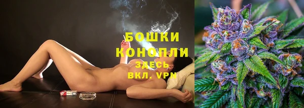 индика Арсеньев