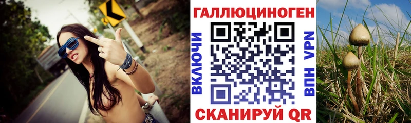 купить  сайты  Томилино  Псилоцибиновые грибы Cubensis 