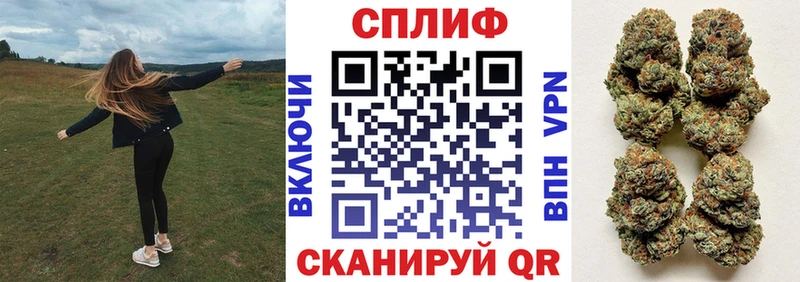 Каннабис AK-47  даркнет официальный сайт  Томилино  что такое  